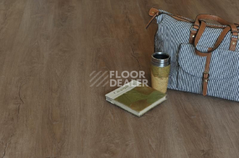 Кварцвиниловые полы Ecoclick Rich замковый 4.2мм NOX-1962 Дуб Сен-Мартен фото 1 | FLOORDEALER